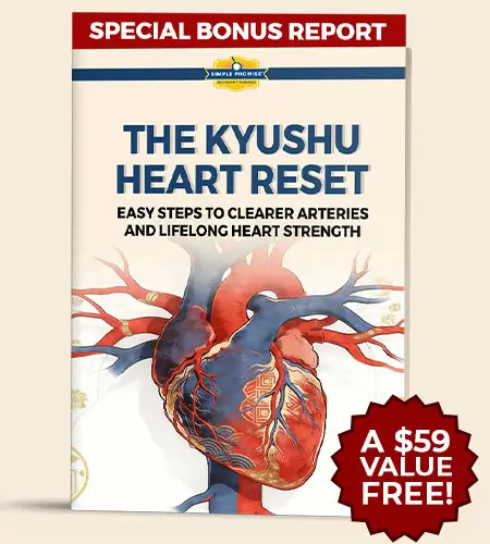 The Kyushu Heart Reset