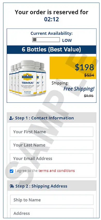 Secure checkout page preview
