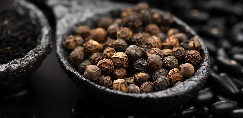 BioPerine - Black Pepper Extract